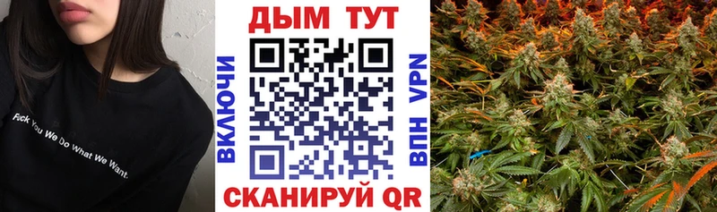 Купить  Аксай  Марихуана SATIVA & INDICA 